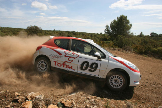 peugeot-207_rc_rallye.jpg