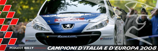 peugeot-rif-camp-it-rally-09.jpg